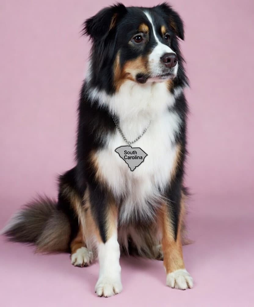 Dog grooming in South Carolina