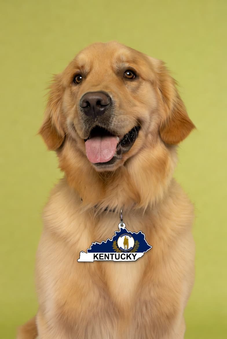 Dog grooming in Kentucky