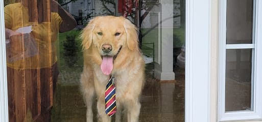 Groomery
