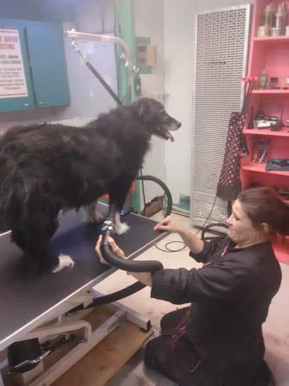 Gupton Pet Care Center