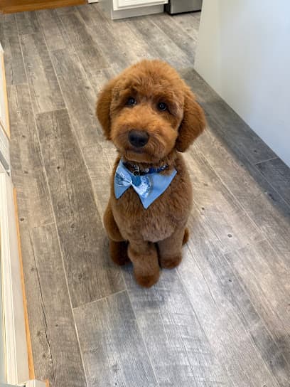 Ruff & Tumble Dog Salon