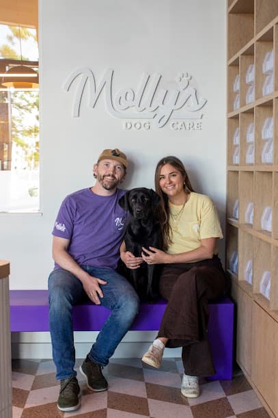 Molly's Dog Care Baltimore Peninsula
