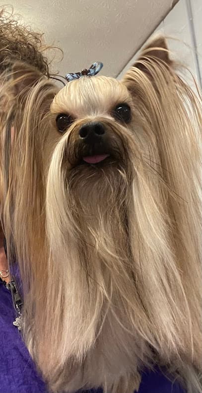 Joy's Pet Salon & Spaw