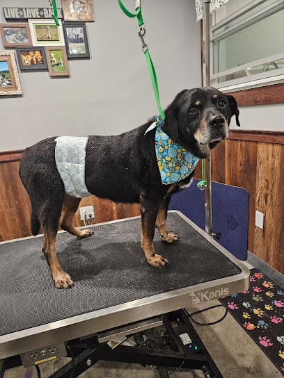 Fluffin' Awesome Mutts Dog Grooming & Spa