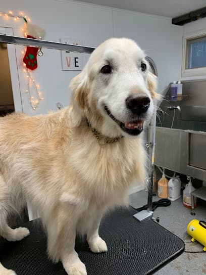 Fluffy Paws Pet Salon
