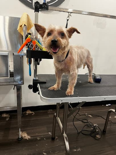 Upnorthbulliesllc Pet grooming