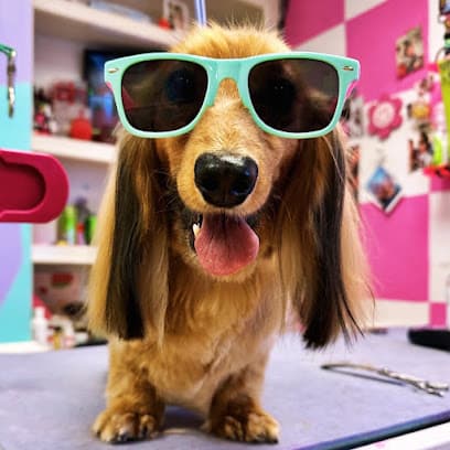 The Doggie Disco