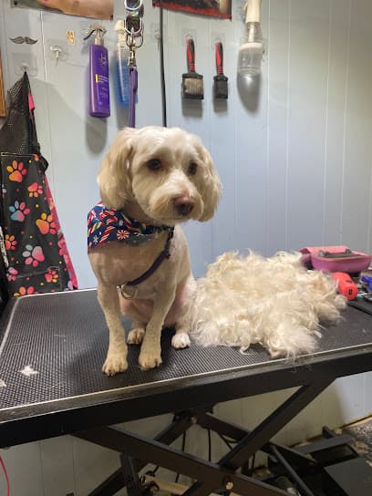 The Groomin Room