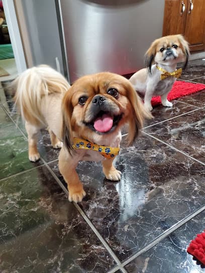 PAWS Pet Supply & Grooming