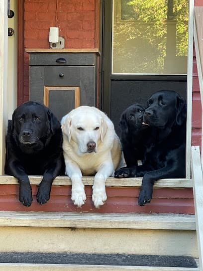 Dog's Retreat