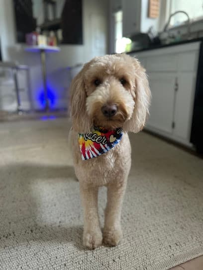 Groomingdogs of Columbia (formerly Groomingdales)