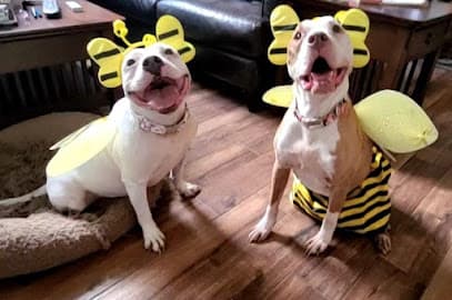 Preppy Pet Boarding And Daycare