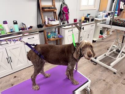 802 Paws Dog Grooming & Spa