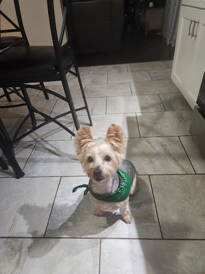 Happy Tails TOO