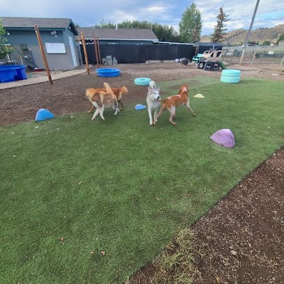 Bijou's Pet Resort