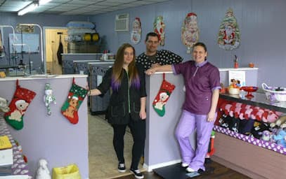 Chilltown Pet Spa