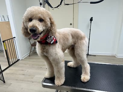 Best Grooming LLC