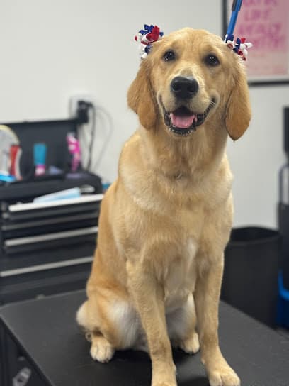 Highland Park Dog Grooming