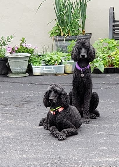 Happy Tails Bathing & Grooming