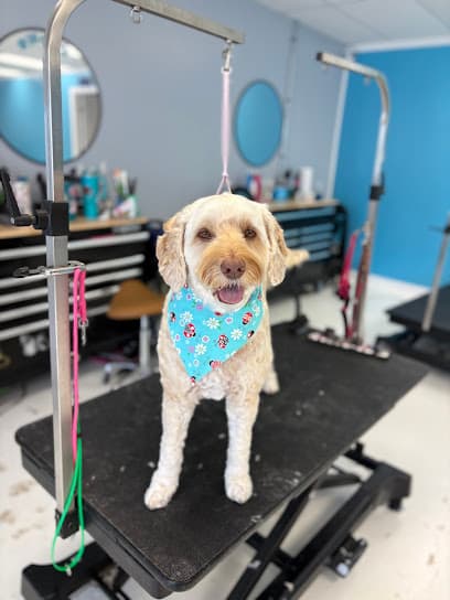 Groomer Gals Pet Salon & Playground