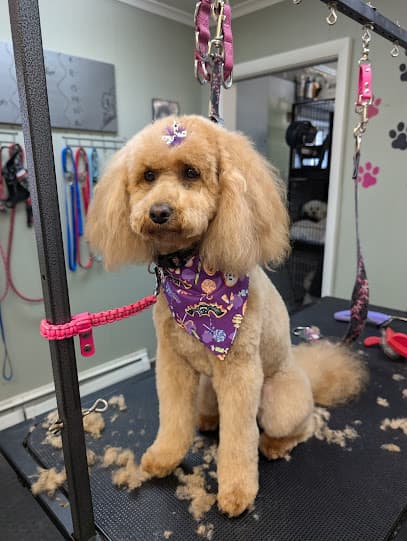 Katie the animal groomer