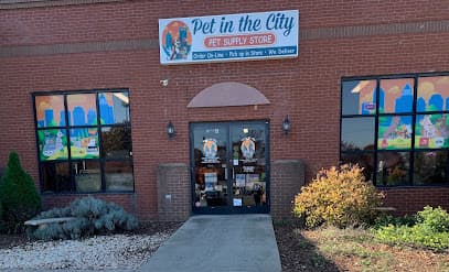 Pet in the City