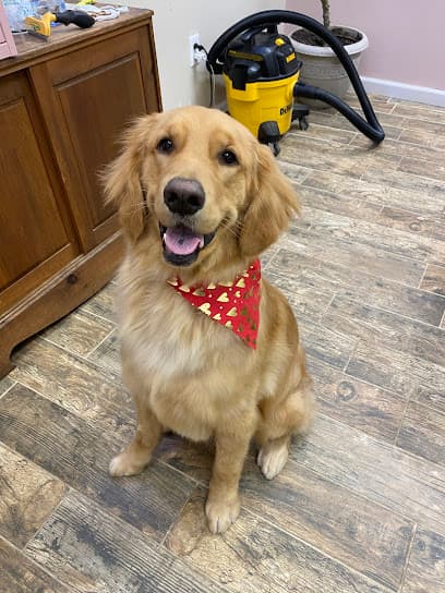 CLEdogs Spa & Social