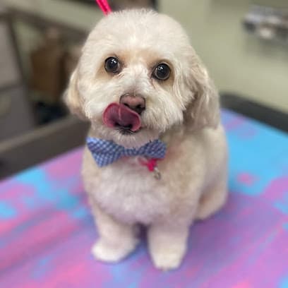 North Bark Pet Salon