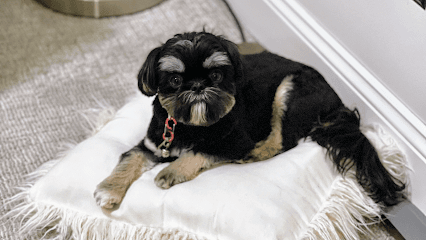 The Hairy Sofa Pet Grooming Boutique