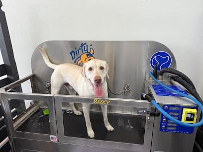 Dirty Dawgs Dogwash
