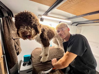 ShortTerm Dog Grooming