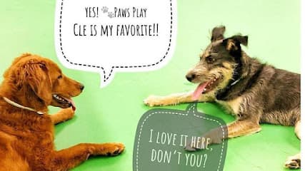 Max and Alayna's Paws Play