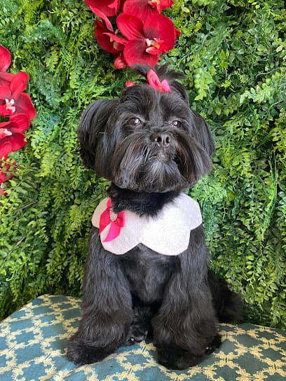 Chic Doggie the grooming studio