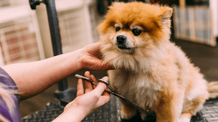 Montclair Pet Grooming