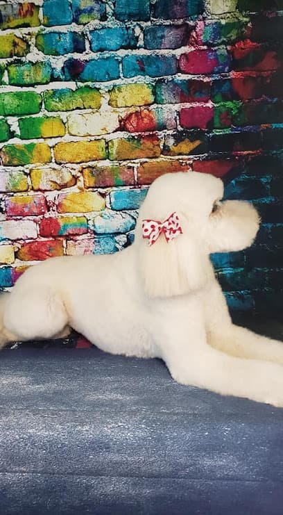 Pet Place Grooming