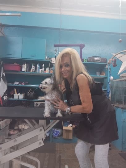 Curtain Call Pet Grooming Salon