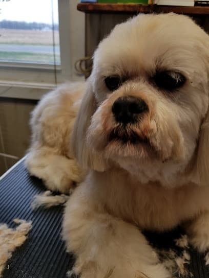 Custom Canine Grooming & Boarding