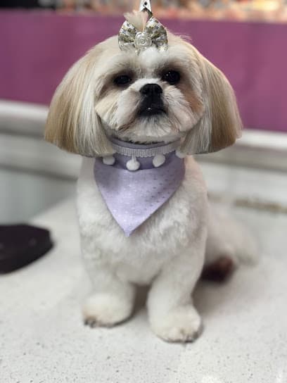 OH My Dog