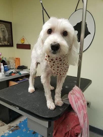 Kara's Paw-Fect Grooming Salon
