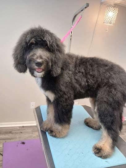 Paw Spa Pet grooming