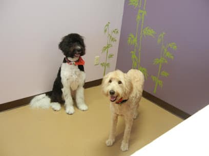 Pleasant Paws Day Spa