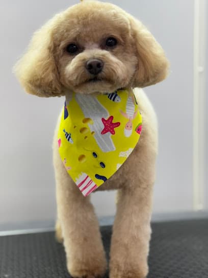K9 Design Pet Salon & Mobile Grooming