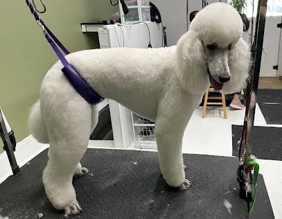 The Grooming Loft by Sophie