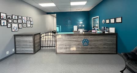 Lil Paw Spa