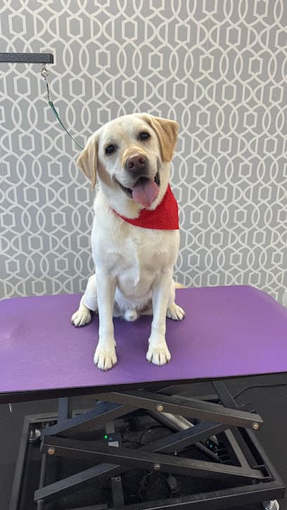 Waggy Tails Dog Grooming