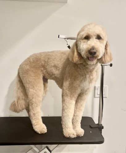 Woofology Pet Grooming