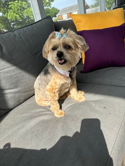 Bruce's Pet Grooming