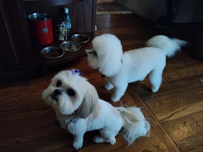 Bonjour's Puppy Parade LLC