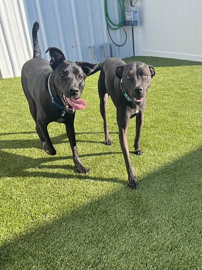 Paws 'n' Rec - Sarasota