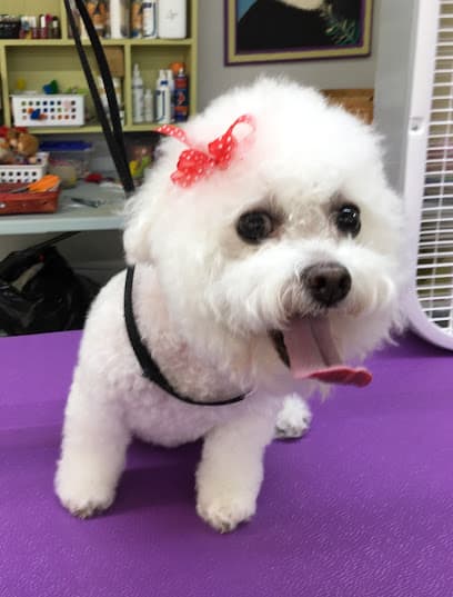 Dale's Pets LLC